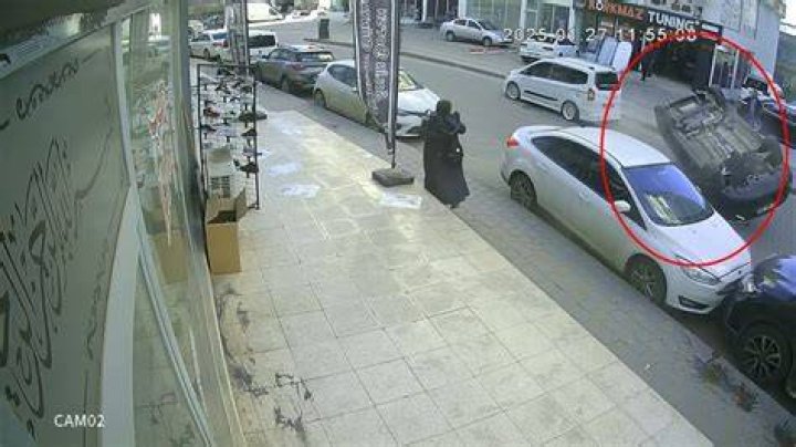 K&uuml;vet bakıcı anne takla park jimin parents eşekarısı kabuk spektrum