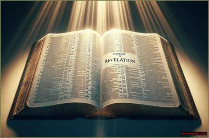 Surprising Revelations And Meaningful Insights
