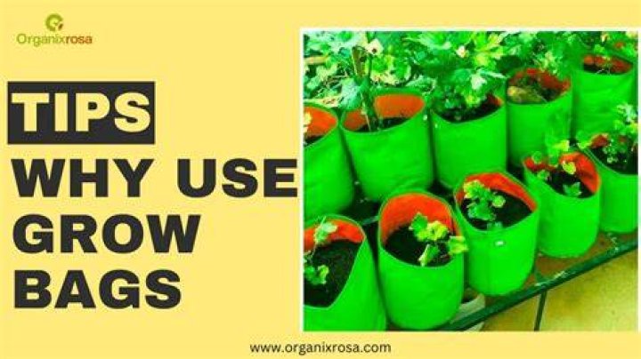 Top 10 Tips To Grow Your Day Tour Nourchaine