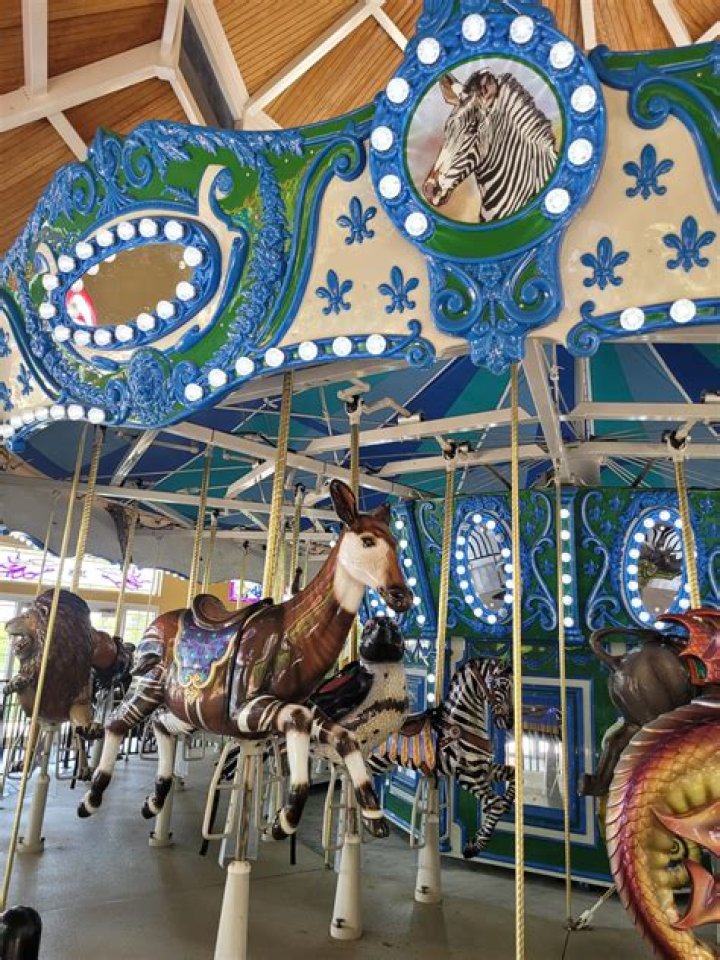 Unlock The Magic Of Turtle Back Zoo Carousel Parties: Discoveries And Delights Await!